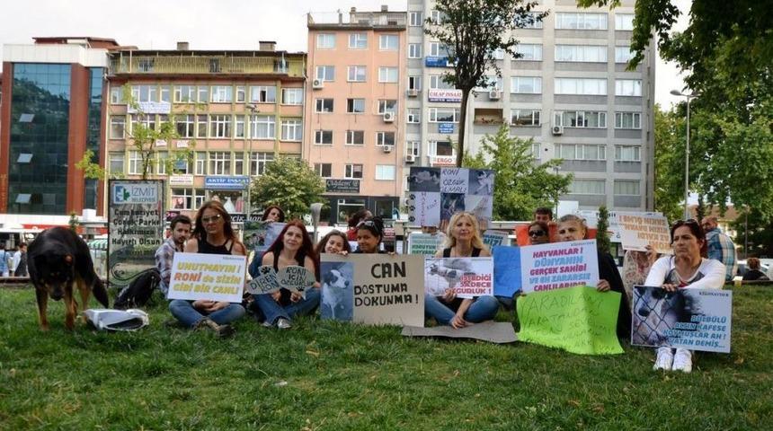 Hayvanseverler, "Roni" I&ccedil;in Eylem Yaptı