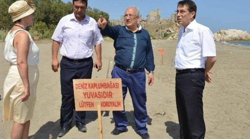 B&uuml;y&uuml;kşehir Belediyesi Batı Mersin&rsquo;de &Ccedil;alışmalara Başladı