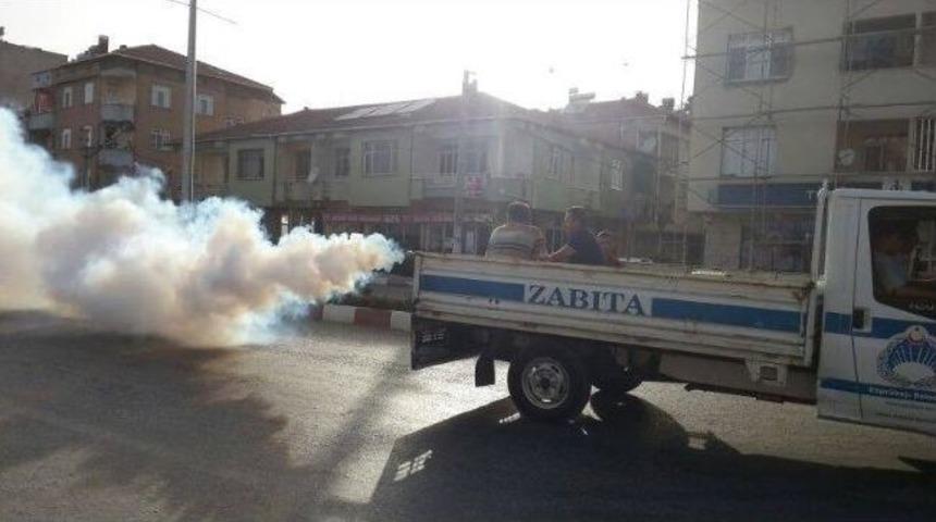 K&ouml;pr&uuml;başı'nda Sinekle M&uuml;cadele