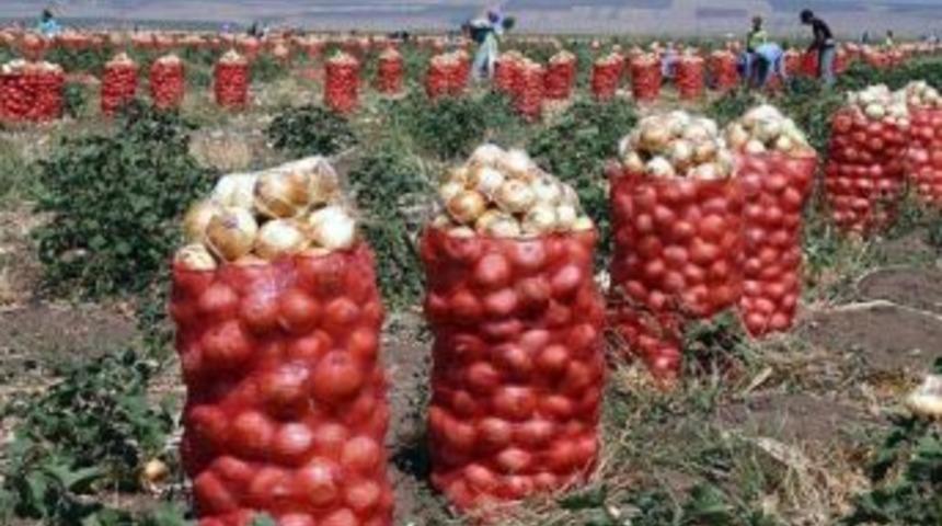 Mevsimlik Tarım İş&ccedil;ilerinin Zor Mesaisi