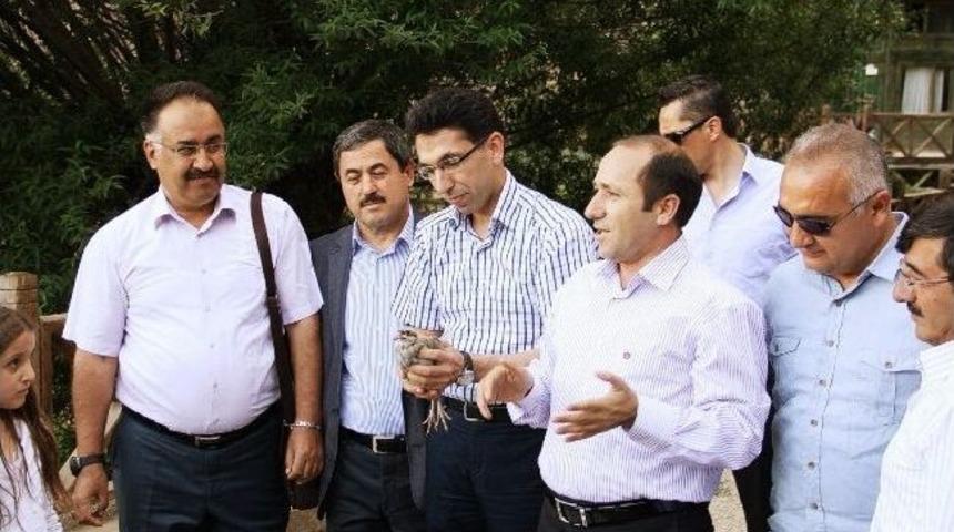 Keklikler Doğaya Bırakıldı