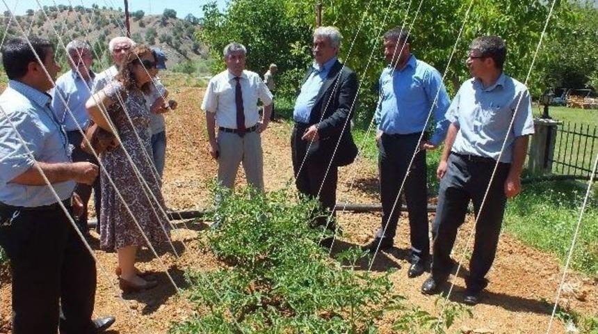 P&uuml;t&uuml;rge'de Organik Tarım Ve Sebzecilik Toplantısı