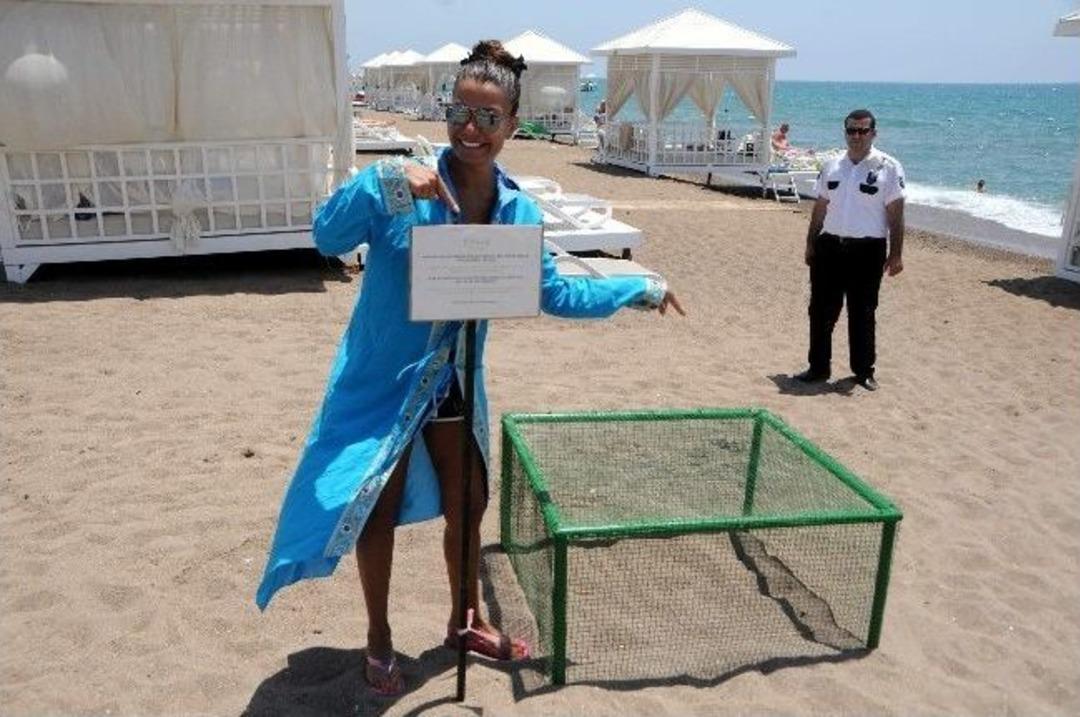 (&ouml;zel Haber) Beş Yıldızlı Caretta Caretta Yuvaları