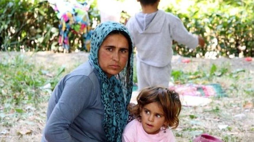 (&ouml;zel Haber) Suriyeli Aile K&ouml;pr&uuml; Altında Yaşam M&uuml;cadelesi Veriyor