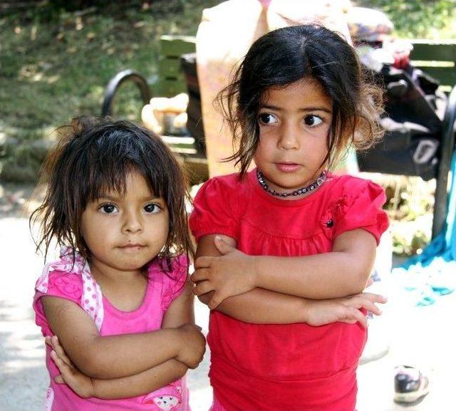 (&ouml;zel Haber) Suriyeli Aile K&ouml;pr&uuml; Altında Yaşam M&uuml;cadelesi Veriyor 1