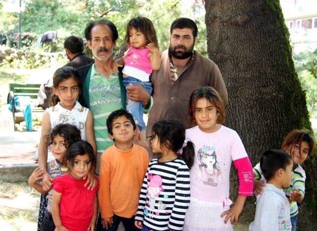 (&ouml;zel Haber) Suriyeli Aile K&ouml;pr&uuml; Altında Yaşam M&uuml;cadelesi Veriyor 2