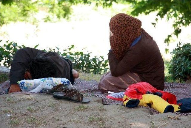 (&ouml;zel Haber) Suriyeli Aile K&ouml;pr&uuml; Altında Yaşam M&uuml;cadelesi Veriyor 3