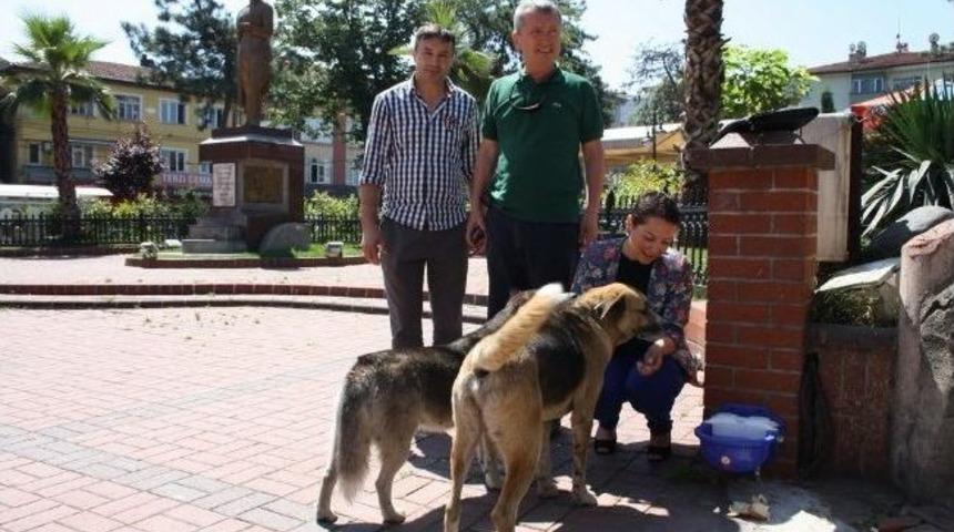 Hayvan Hakları Derneği &Ccedil;aycuma&rsquo;yı &Ouml;rnek Se&ccedil;ti