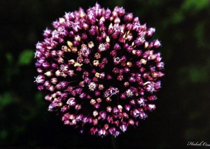 (özel Haber) Kemoterapi İçin Gittiği Hastanede Sergisiyle Karşılaştı G2