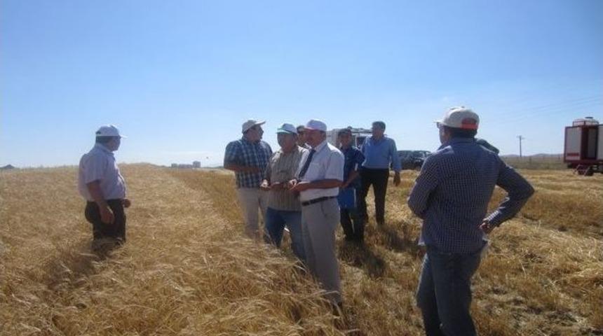 Ankara İl Gıda, Tarım Ve Hayvancılık Müdürü Muhsin Temel: