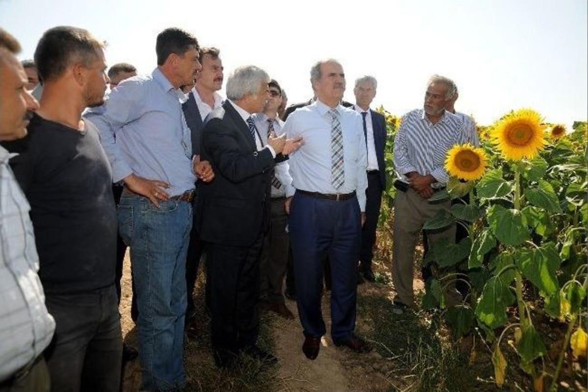 Yenişehir, B&uuml;y&uuml;kşehir Hizmetleriyle Buluşuyor