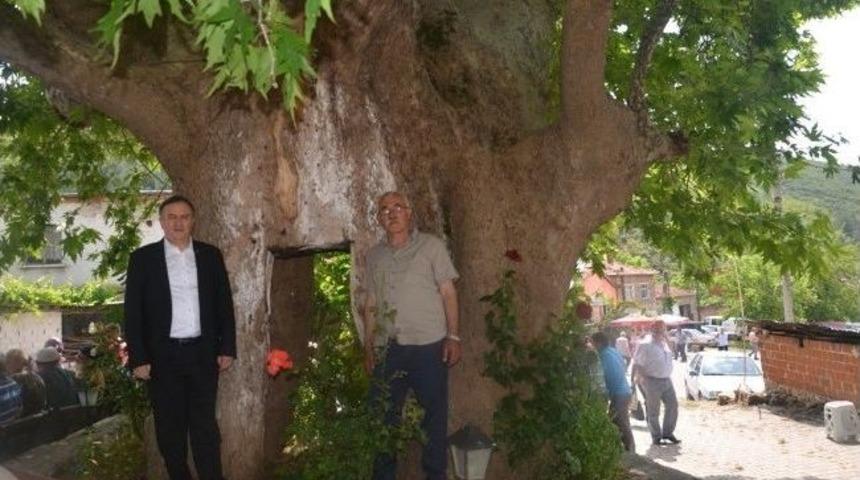 Mhp&rsquo;li Ak&ccedil;ay G&ouml;ktaş K&ouml;y&uuml;&rsquo;ne &Ccedil;ıkartma Yaptı