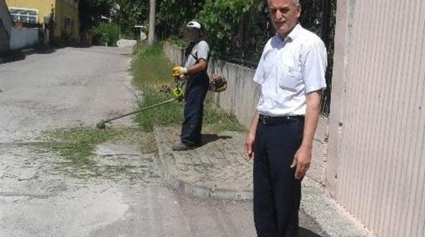 Muhtarlardan, Tırpan &Ccedil;alışmasına Teşekk&uuml;r