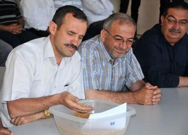 Karaman’da Yılın İlk Mahsul Buğdayı Borsada Satıldı 1
