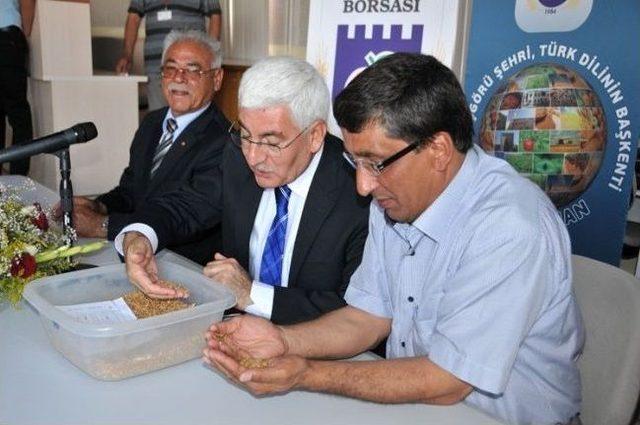 Karaman’da Yılın İlk Mahsul Buğdayı Borsada Satıldı 2