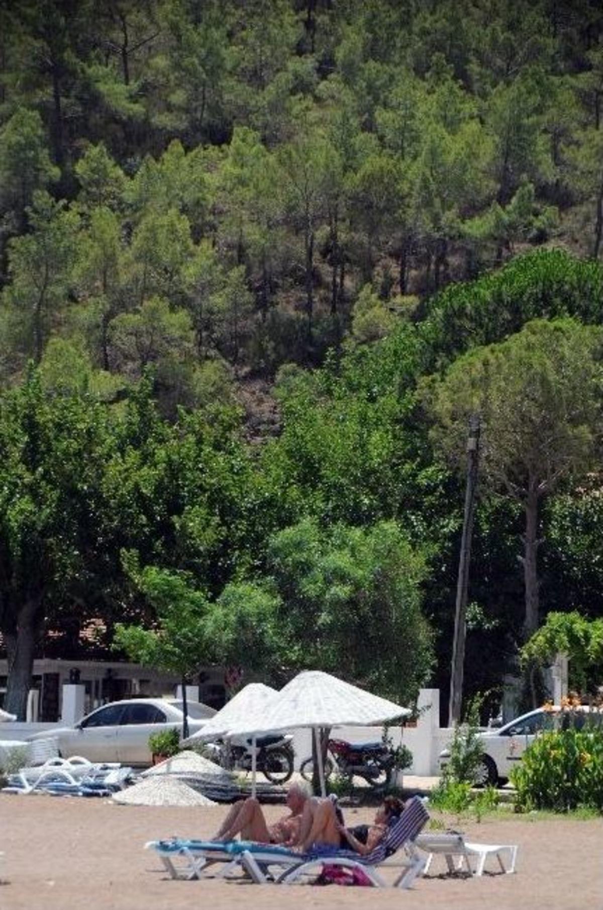 Adrasan Bir Yıl İ&ccedil;inde Ağa&ccedil;landırılacak