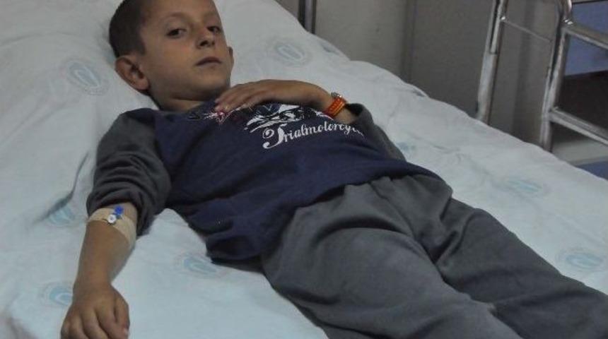 Bitlis'te Kansız Ve Neştersiz S&uuml;nnet D&ouml;nemi