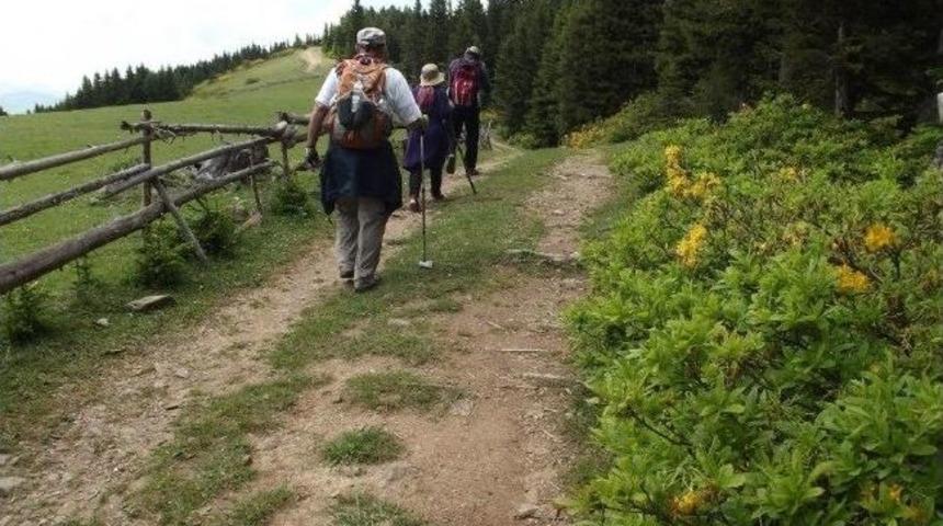 Giresun&rsquo;da Trekking Turizmi Geliştiriliyor