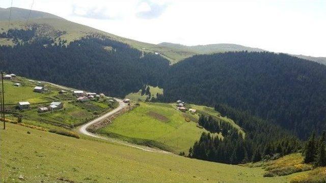 Giresun’da Trekking Turizmi Geliştiriliyor 3