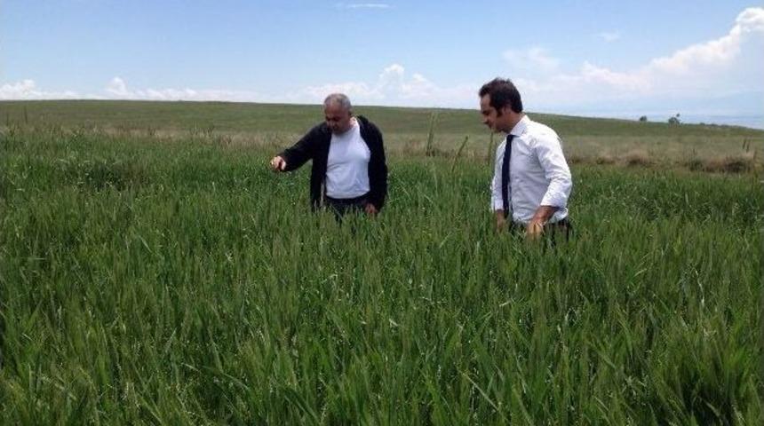 Adilcevaz&rsquo;da S&uuml;ne İle M&uuml;cadele &Ccedil;alışması