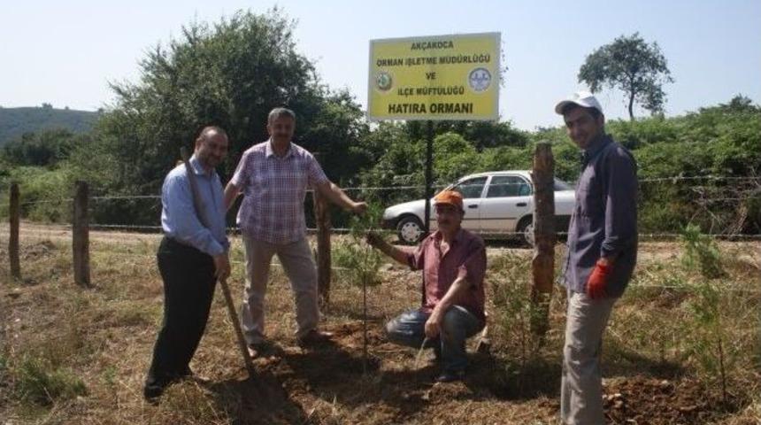 Ak&ccedil;akoca&rsquo;da M&uuml;ft&uuml;l&uuml;k Hatıra Ormanı T&ouml;renle A&ccedil;ıldı
