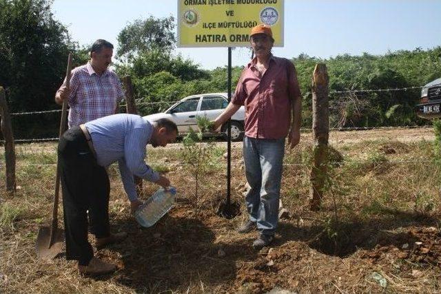 Akçakoca’da Müftülük Hatıra Ormanı Törenle Açıldı