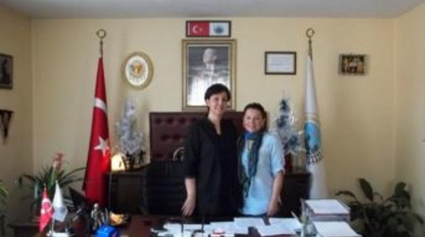 Saltukova'da Sokak Hayvanlarına Sahip &Ccedil;ıkılması Hedefleniyor