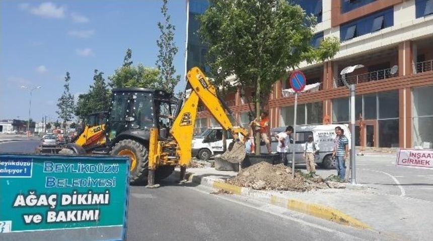 Beylikd&uuml;z&uuml; Belediyesi Ağa&ccedil;landırma &Ccedil;alışmalarına Hız Veriyor
