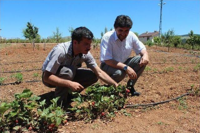 Dağ Evlerinde Spor Keyfi