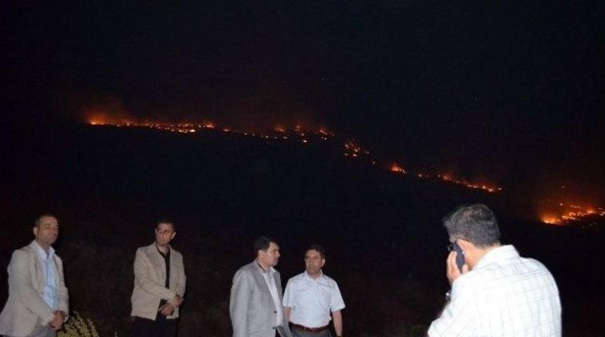 Malatya'daki Yangın