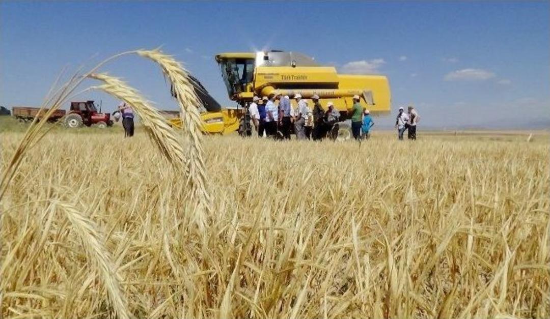 (&ouml;zel Haber) Dene Kaybının &Ouml;nlenmesi İ&ccedil;in Bi&ccedil;erd&ouml;verler Denetlendi