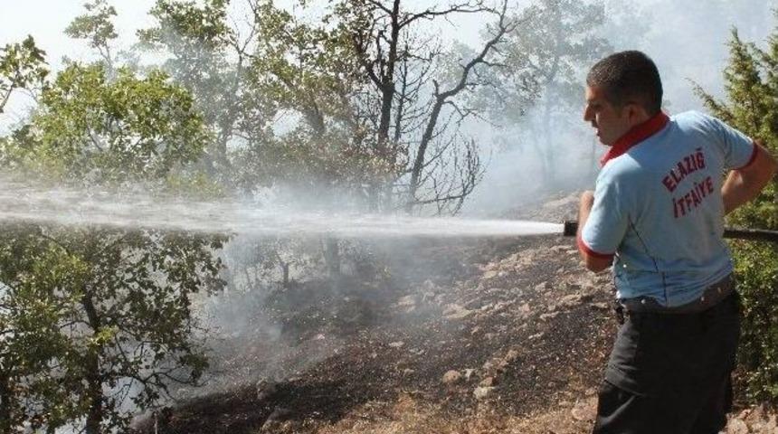 Elazığ'daki Orman Yangını S&ouml;nd&uuml;r&uuml;ld&uuml;