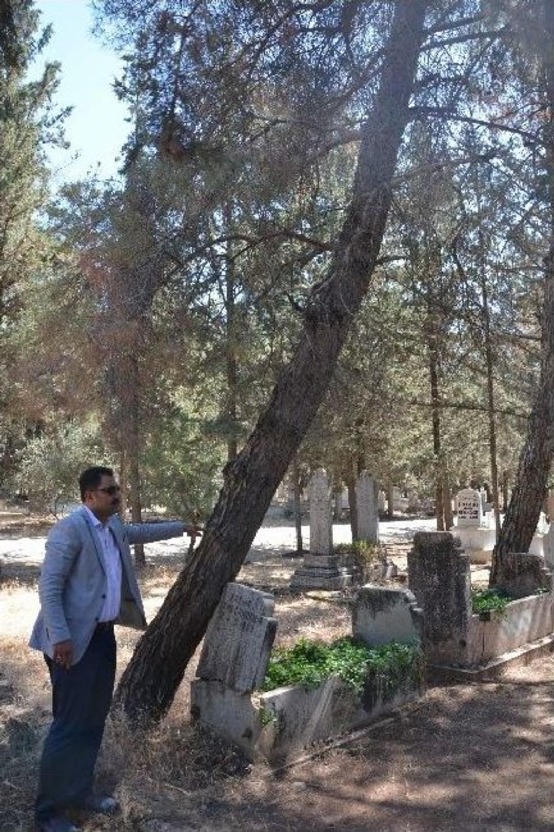 Kilis Belediyesinden Asri Mezarlık A&ccedil;ıklaması