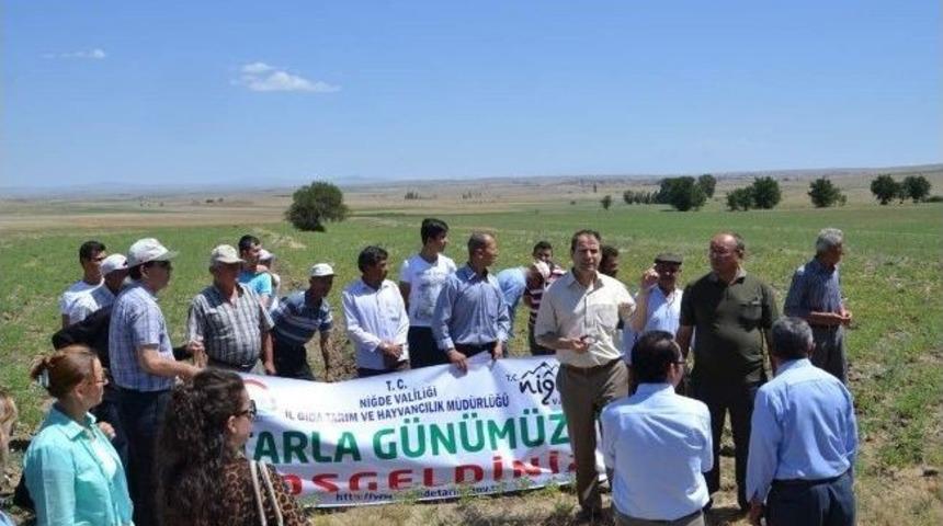 Nohut Tarla G&uuml;n&uuml;&rlm; D&uuml;zenlendi