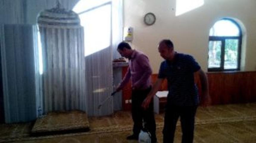 İksad&rsquo;dan G&uuml;l Kokulu Camiler Projesi