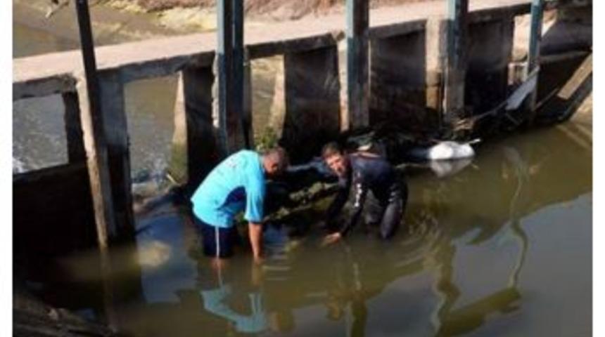 D&ouml;rt Yaşındaki Yasemin Sulama Kanalında Can Verdi