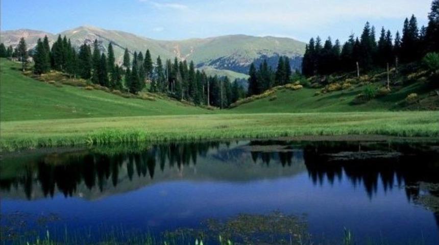 İl Genel Meclisi'nde Yayla Tartışması
