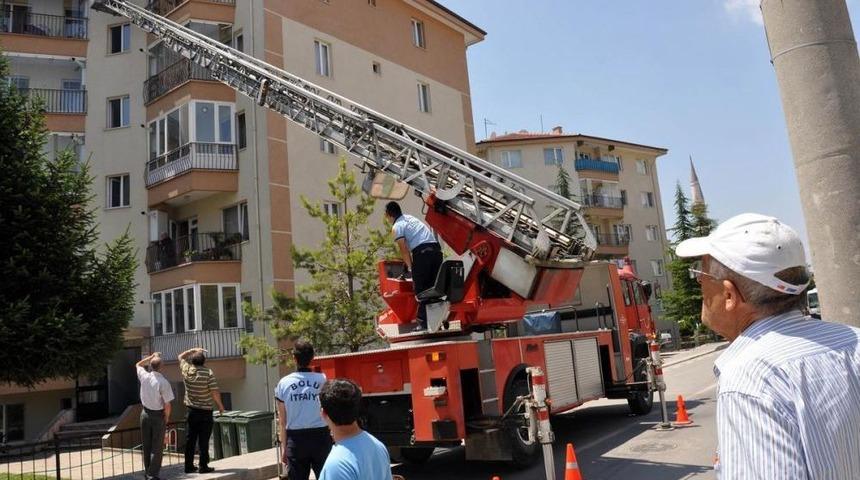 Balık Ağına Takılan G&uuml;vercini Itfaiye Kurtardı