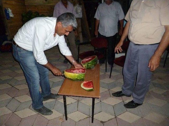 Osmanelide Karpuz Hasadı Başladı 1