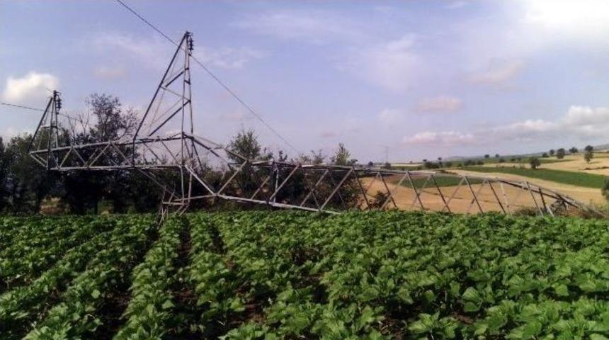 Yedaş Fırtınanın Yaralarını Sardı
