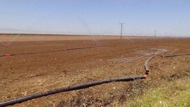 Mardin'de Tarımsal Sayaç Ve Kaçak Elektrik Denetimi