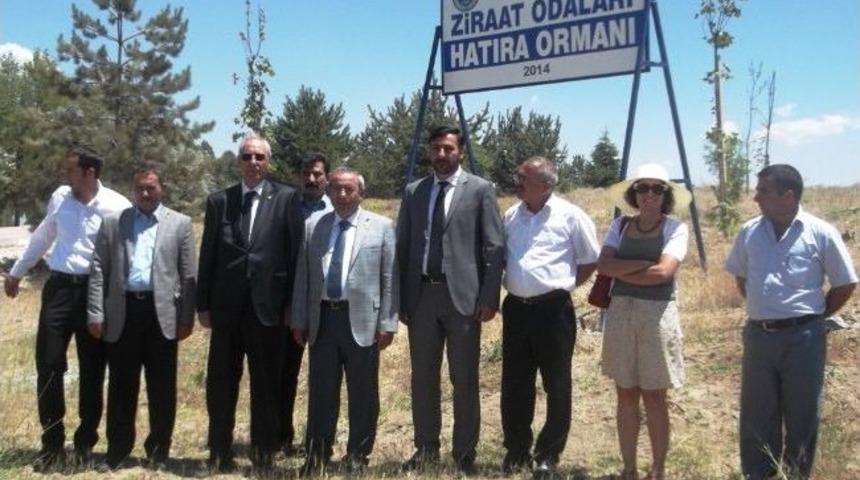 Ziraat Odası&rsquo;ndan Yy&uuml;&rsquo;ye Hatıra Ormanı