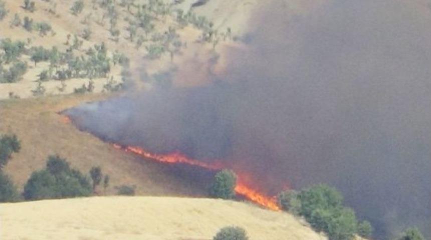 Kulp'ta Korkutan Yangın