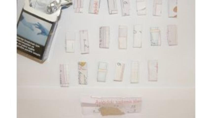 Payas&rsquo;ta Uyuşturucu Operasyonu