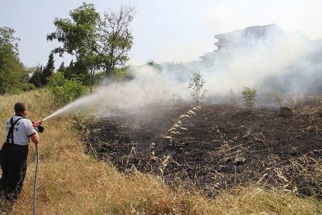 Samsun da Ot Yangını 1