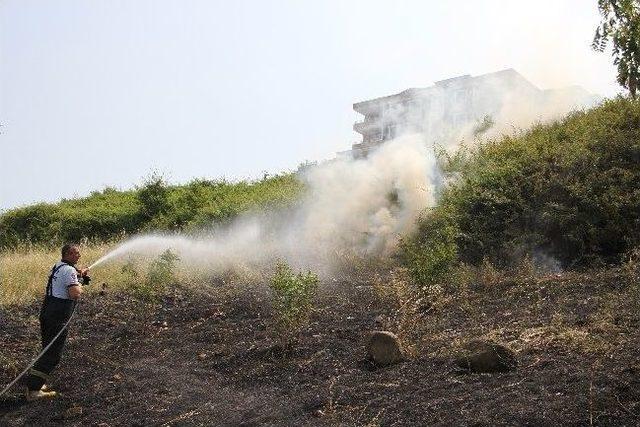 Samsun da Ot Yangını 2