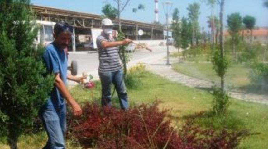 K&uuml;&ccedil;&uuml;kk&ouml;y&rsquo;de İla&ccedil;lama &Ccedil;alışmaları S&uuml;r&uuml;yor