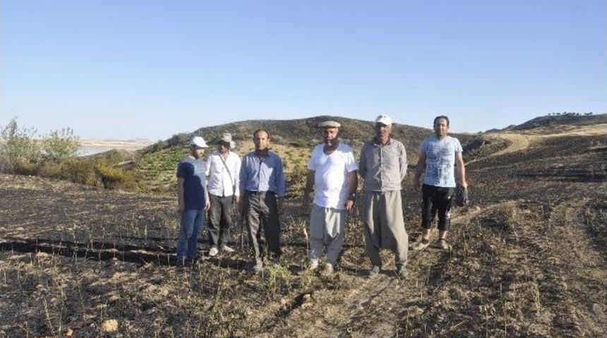 Adıyaman&rsquo;da Meyve Ağa&ccedil;ları Yandı