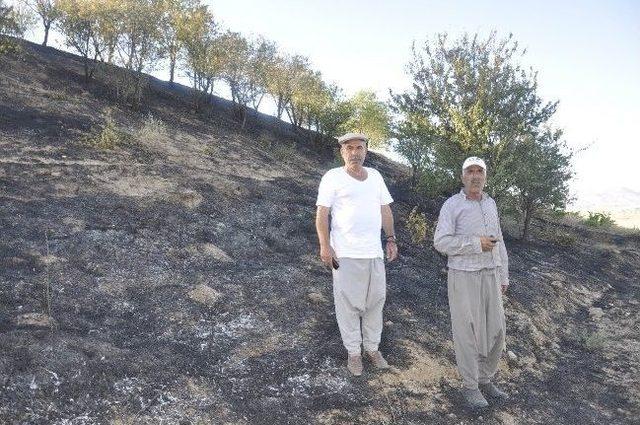 Adıyaman’da Meyve Ağaçları Yandı