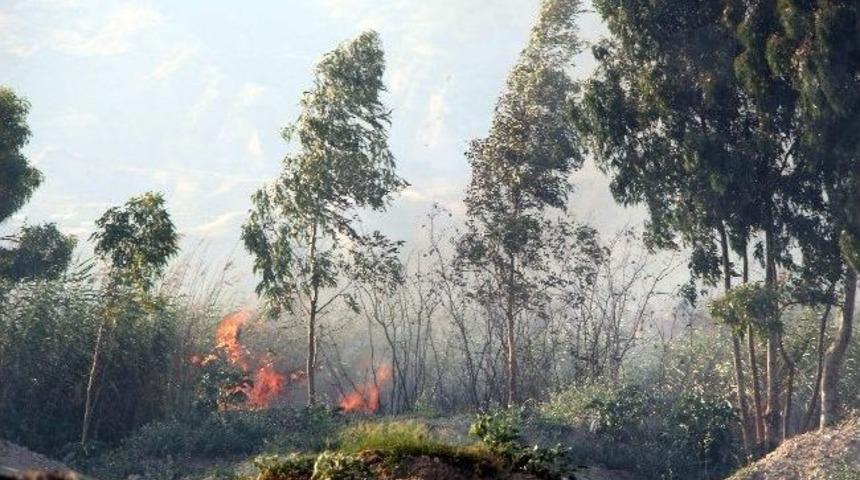 Astim Osb İ&ccedil;erisndeki Bataklık Aland A&ccedil;ıkan Yangın Korkuttu